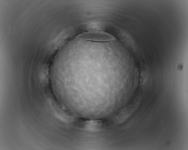 X0000116840320200912181503