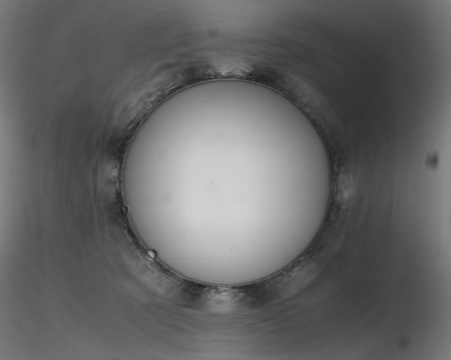X0000116840321200912181503