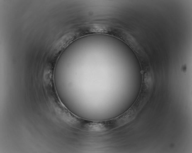 X0000116840322200912181503