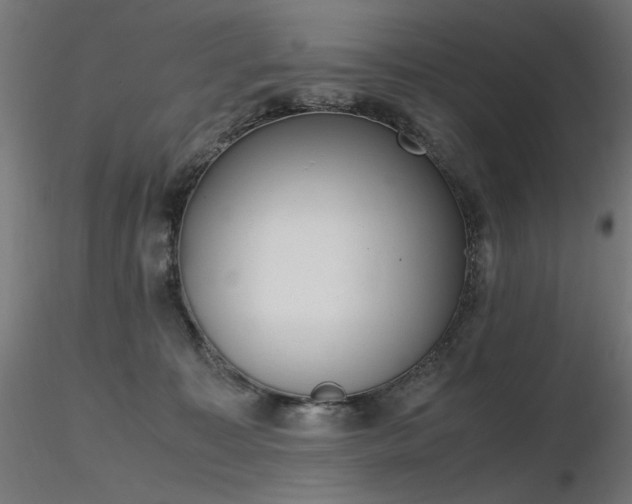 X0000116840323200912181503