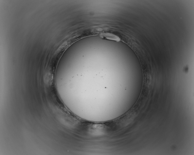 X0000116840324200912181503