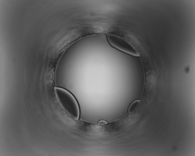 X0000116840325200912181503