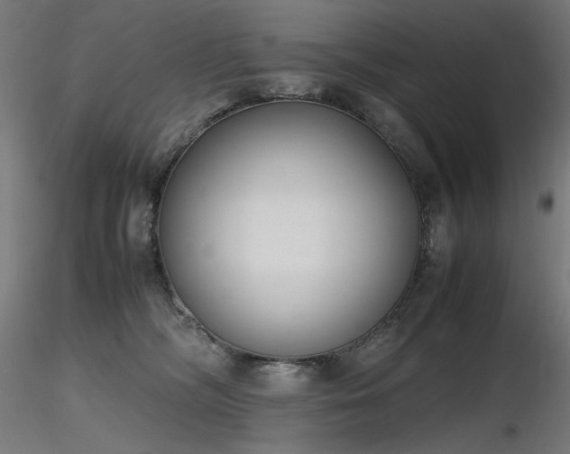 X0000116840326200912181503