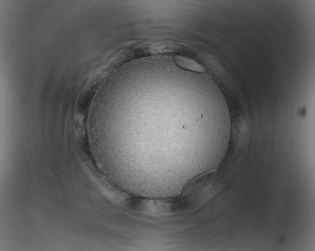 X0000116840327200912181503
