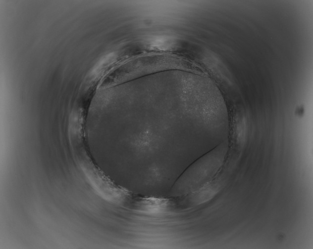 X0000116840328200912181503