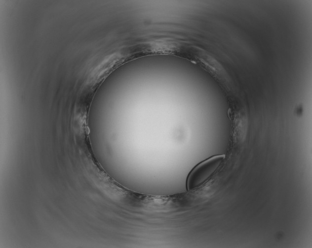 X0000116840329200912181503