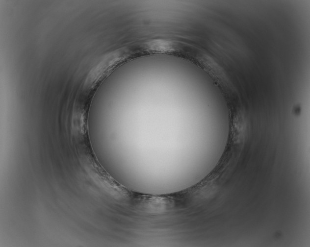X0000116840330200912181503