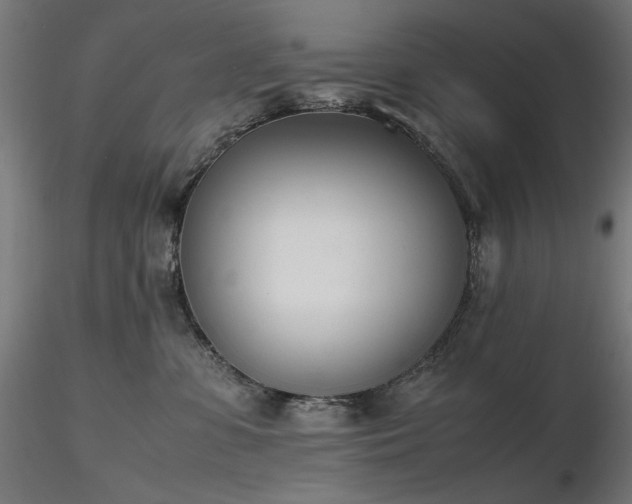 X0000116840331200912181503