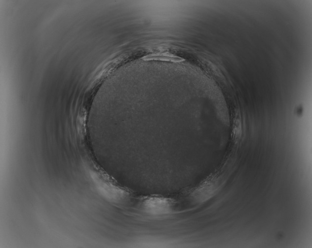 X0000116840332200912181503