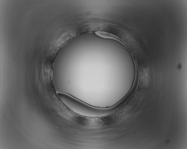 X0000116840333200912181503