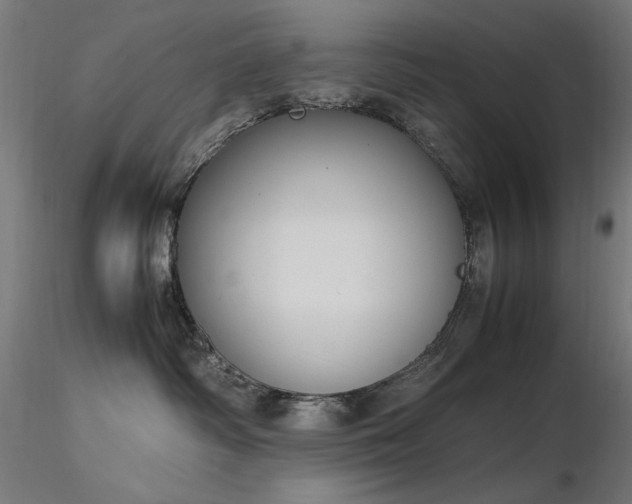 X0000116840334200912181503