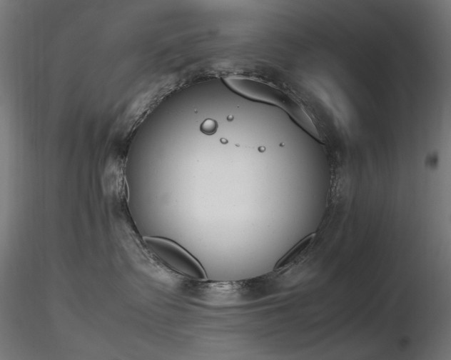 X0000116840335200912181503
