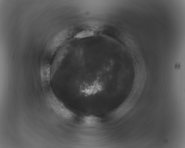 X0000116840336200912181503