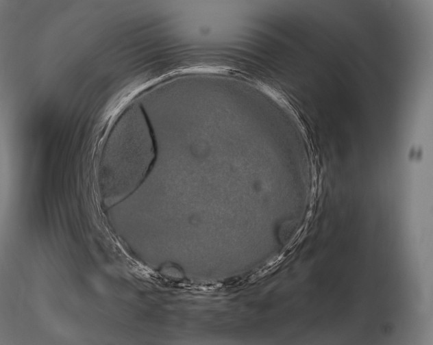 X0000116840337200912181503