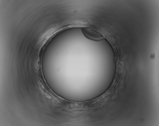 X0000116840338200912181503