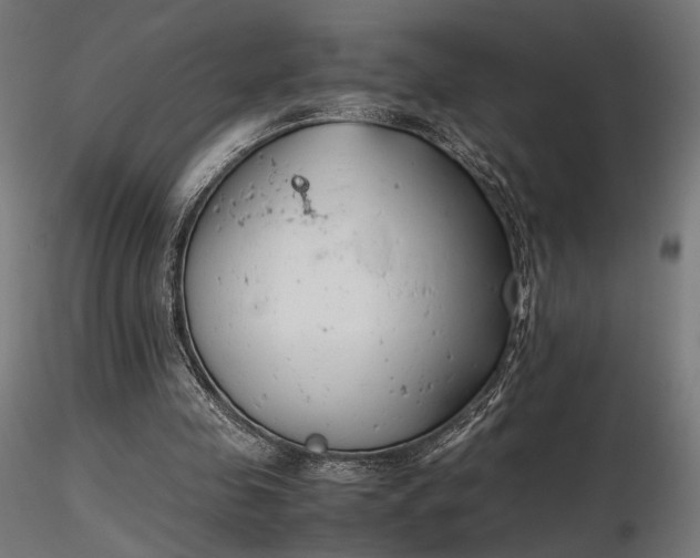 X0000116840341200912181503
