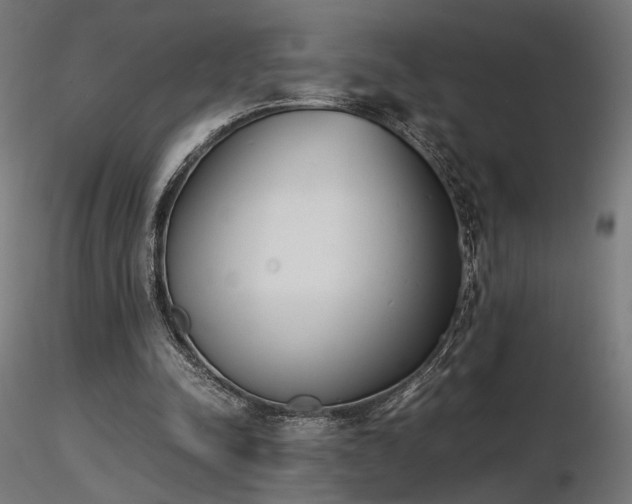 X0000116840342200912181503