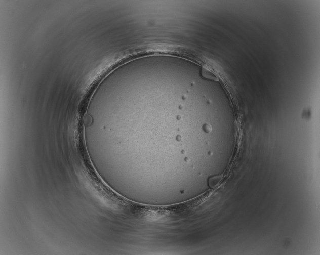 X0000116840346200912181503