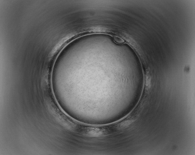 X0000116840347200912181503
