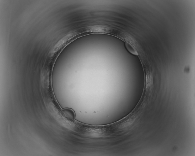 X0000116840349200912181503