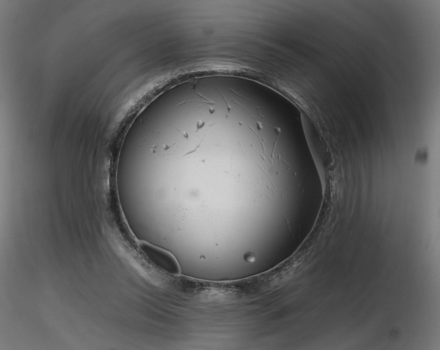 X0000116840350200912181503