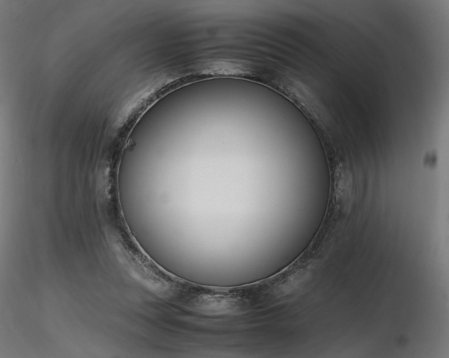 X0000116840351200912181503