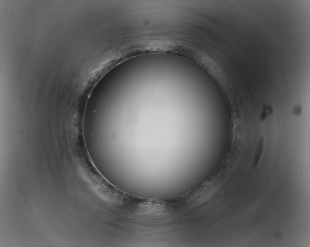 X0000116840354200912181503