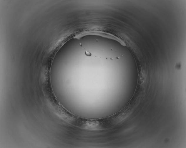X0000116840355200912181503
