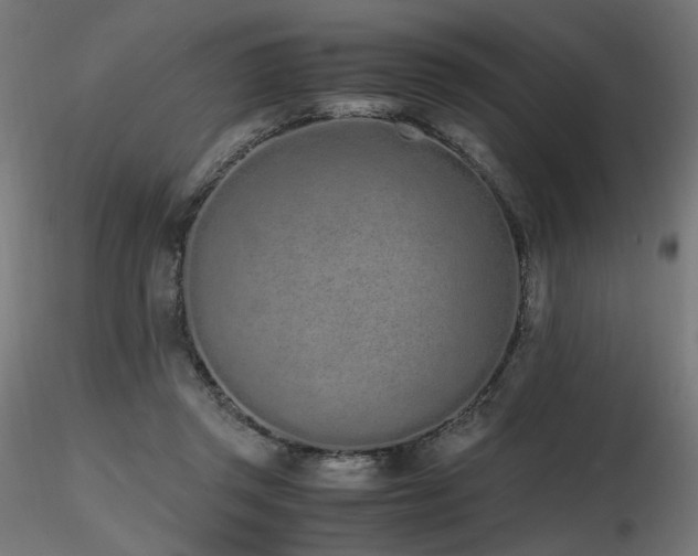 X0000116840357200912181503