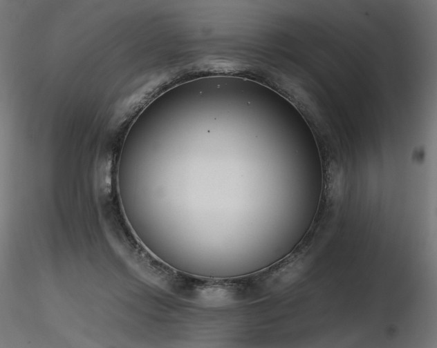 X0000116840358200912181503