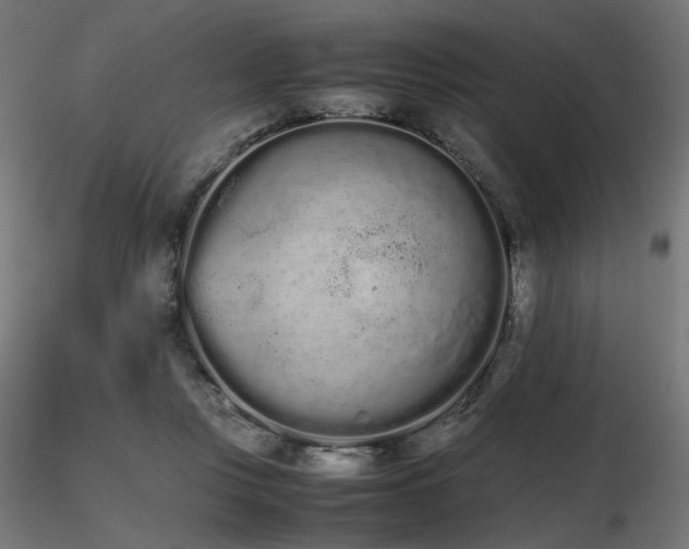 X0000116840359200912181503