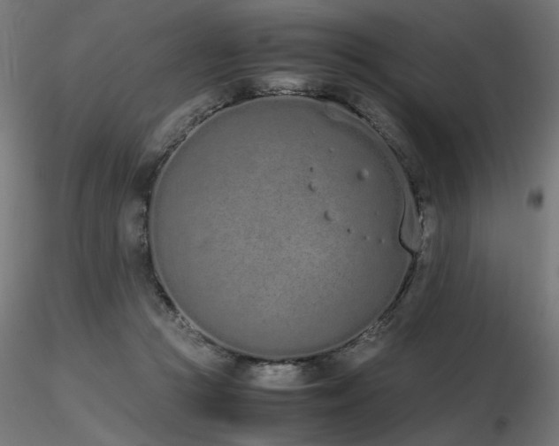 X0000116840361200912181503