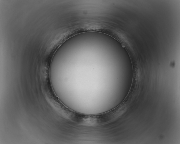 X0000116840362200912181503