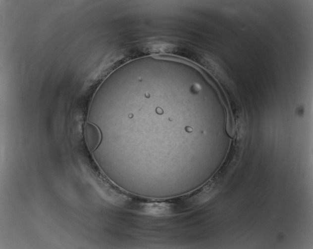 X0000116840363200912181503