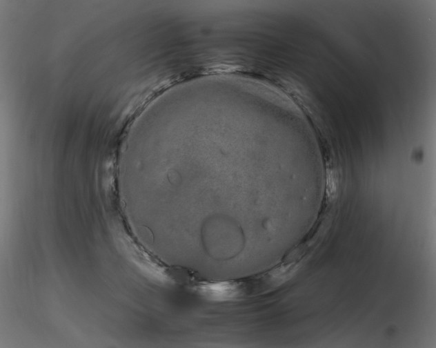 X0000116840365200912181503