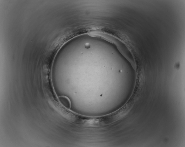 X0000116840366200912181503