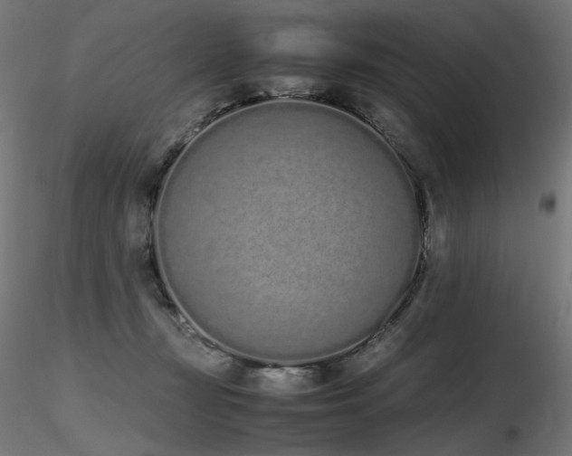 X0000116840367200912181503