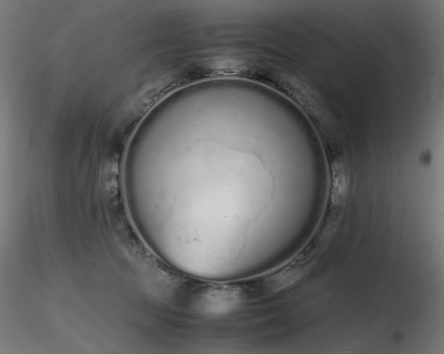 X0000116840369200912181503