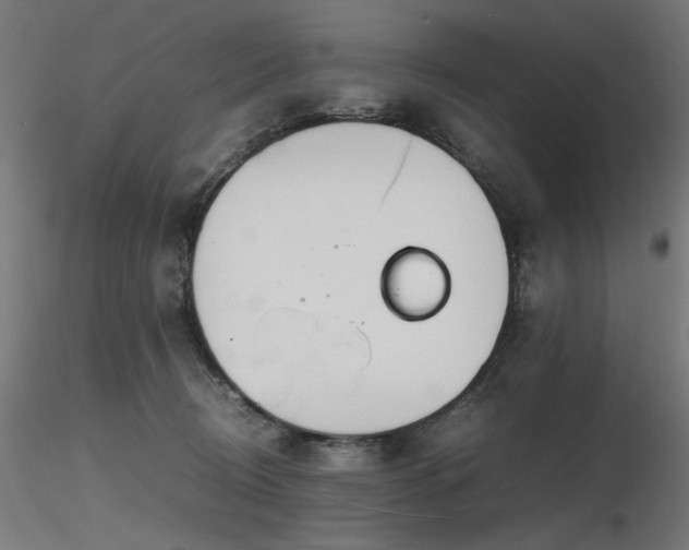 X0000116840370200912181503