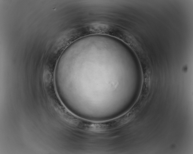X0000116840371200912181503