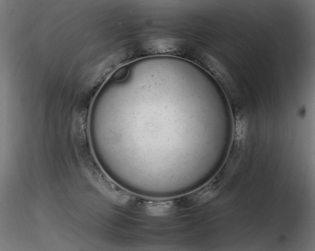 X0000116840373200912181503