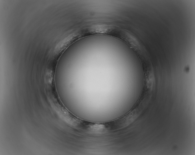 X0000116840374200912181503