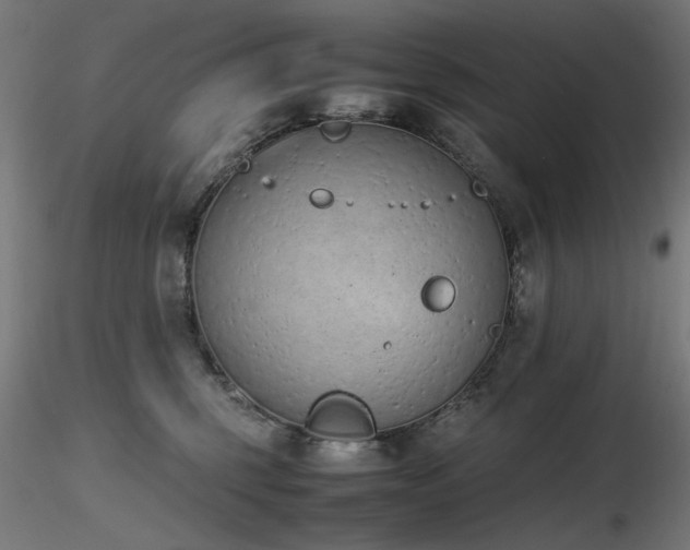 X0000116840375200912181503