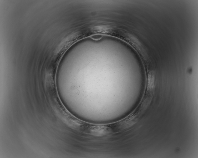 X0000116840377200912181503