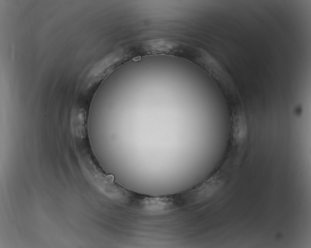 X0000116840378200912181503
