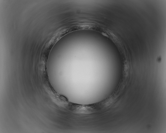 X0000116840379200912181503