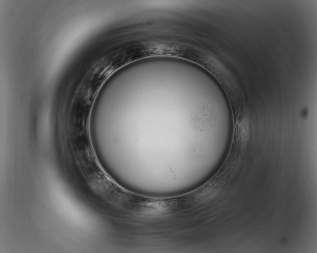 X0000116840381200912181503