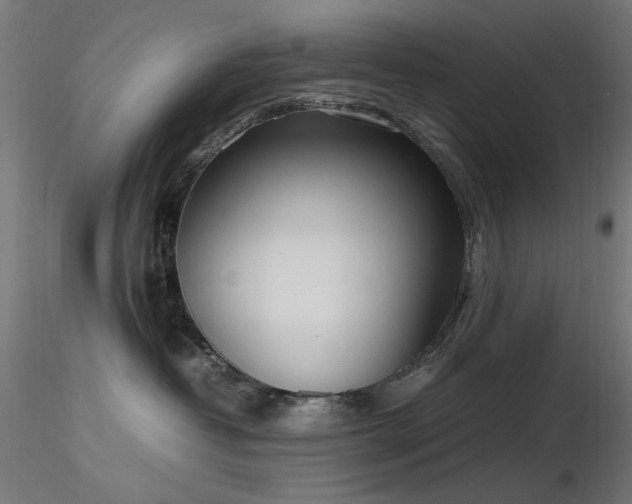 X0000116840382200912181503