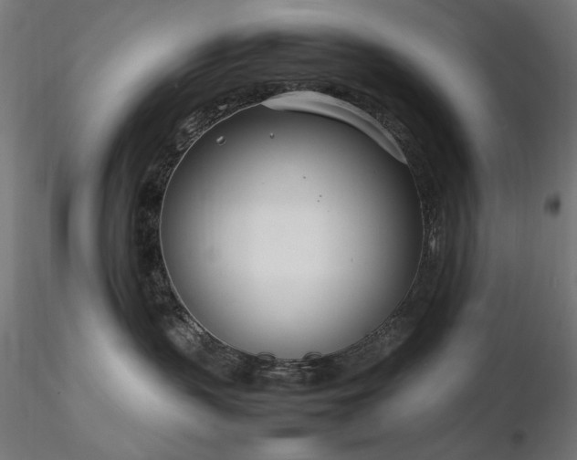 X0000116840383200912181503