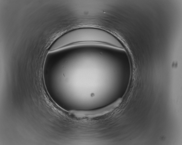 X0000116840385200912181502